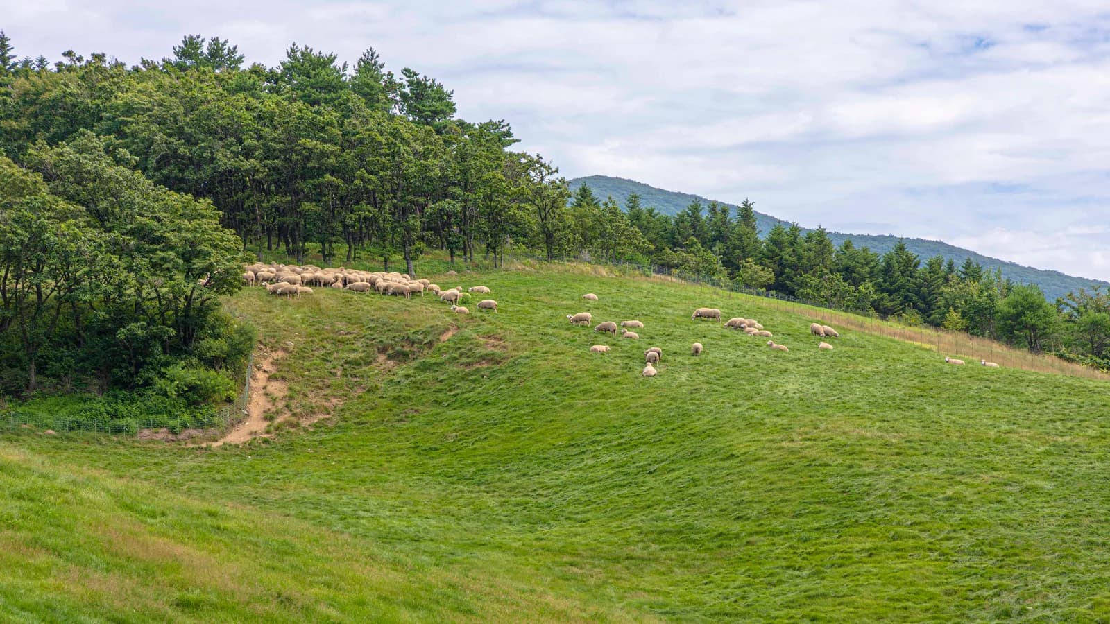 Pyeongchang in Summer (When Seoul Hits 95°F, Koreans Drive Here Instead)