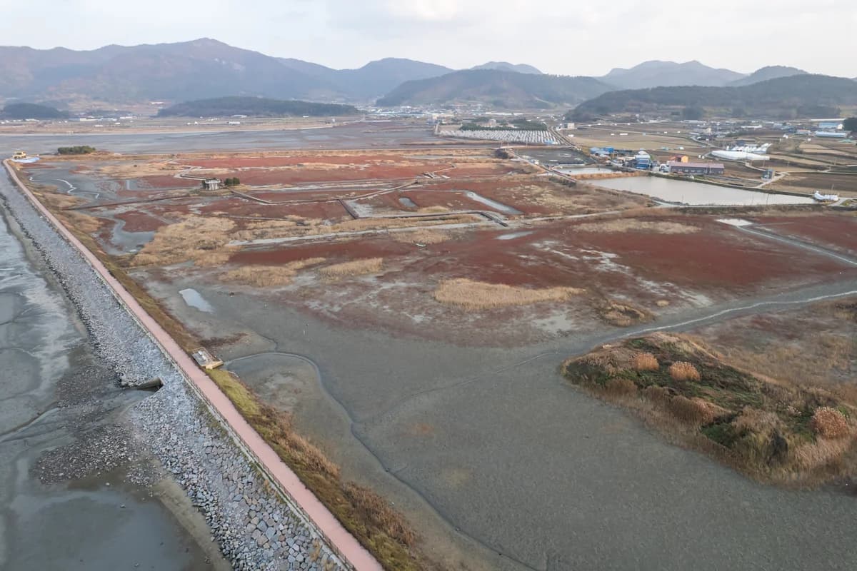 The Mud Korea Decided to Save: Getbol and the UNESCO Vote in Busan
