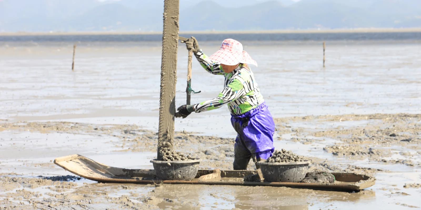 The Mud Korea Decided to Save: Getbol and the UNESCO Vote in Busan