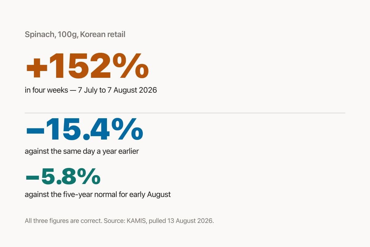 Spinach Is Up 152% in a Month. It's Also Cheaper Than It Was Last August.