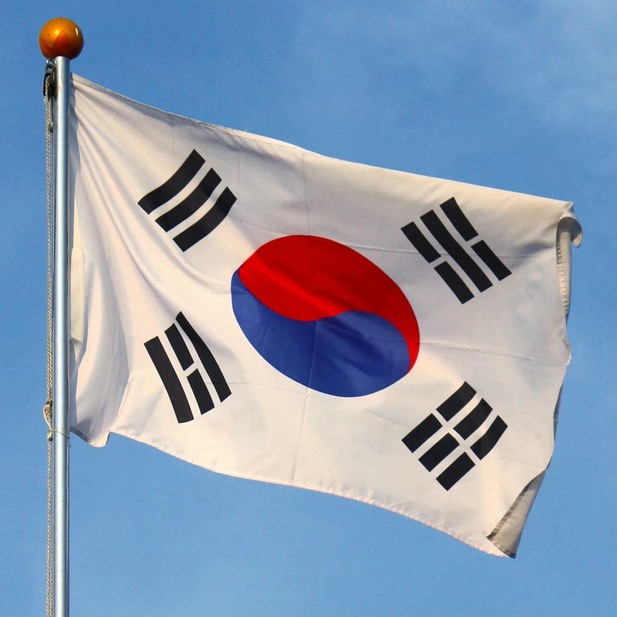 Korea Ran Out of Ballots. The Threat to Its Democracy Isn't the One Going Viral.