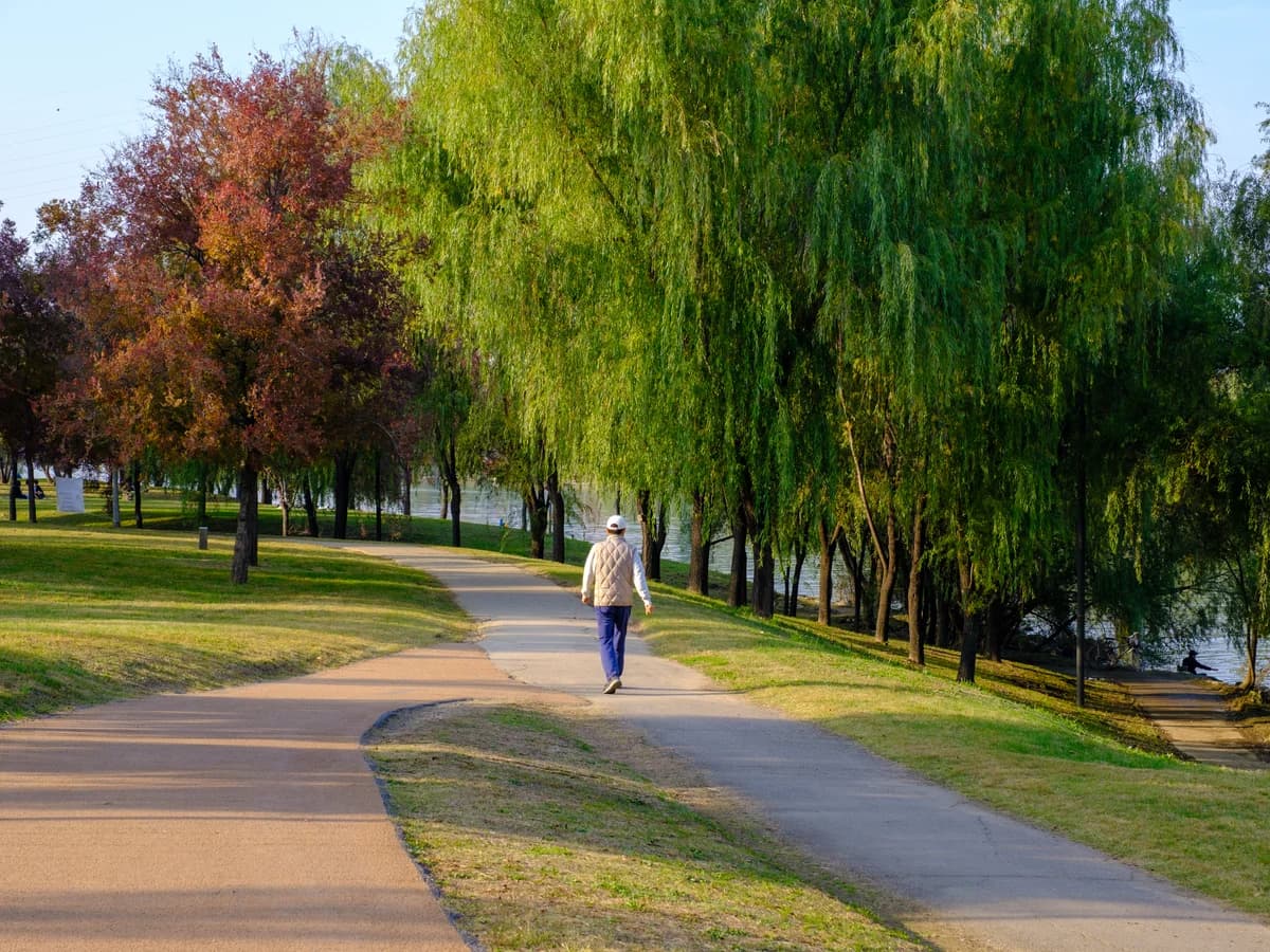 12 Things Tourists Get Wrong About Korea
